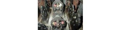 அத்திமுகம்